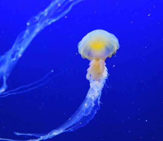 USAA Life Insurance Company News: Industry Insights and Updates USAA Life Insurance Company News: Industry Insights and Updates