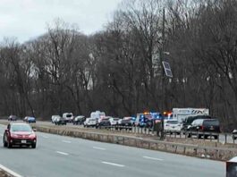 woman-found-dead-in-suitcase-near-yonkers-highway-sources