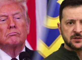 Zelenskyy seeks European support post-contentious Trump meeting zelenskyy-seeks-european-support-post-contentious-trump-meeting