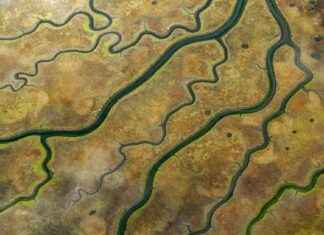 Atlético San Luis vs Chivas de Guadalajara Lineups – Full Match Lineup Atlético San Luis vs Chivas de Guadalajara Lineups – Full Match Lineup