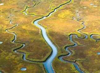 Atlético San Luis vs Tigres UANL Lineups – Liga MX Starters Confirmed Atlético San Luis vs Tigres UANL Lineups – Liga MX Starters Confirmed