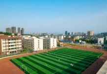 Brentford vs Ipswich Town Lineups – Starting XI & Key Player Insights Brentford vs Ipswich Town Lineups – Starting XI & Key Player Insights