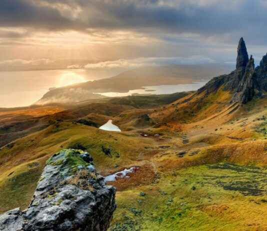 Celtic F.C. vs BSC Young Boys Lineups – Confirmed XI and Tactical Breakdown Celtic F.C. vs BSC Young Boys Lineups – Confirmed XI and Tactical Breakdown