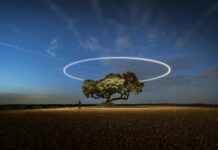 Chivas de Guadalajara vs Atlético San Luis Lineups – Lineup Reveal for Key Match Chivas de Guadalajara vs Atlético San Luis Lineups – Lineup Reveal for Key Match