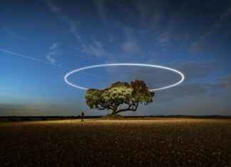 Chivas de Guadalajara vs FC Juárez Lineups – Who’s in the Starting Squad? Chivas de Guadalajara vs FC Juárez Lineups – Who’s in the Starting Squad?