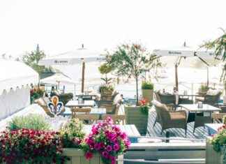 Chivas de Guadalajara vs San Jose Earthquakes Lineups – Starting Teams Released Chivas de Guadalajara vs San Jose Earthquakes Lineups – Starting Teams Released