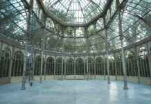 Crystal Palace vs Chelsea Lineups – EPL Clash Starting XI Crystal Palace vs Chelsea Lineups – EPL Clash Starting XI