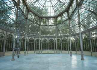 Crystal Palace vs Chelsea Lineups – EPL Clash Starting XI Crystal Palace vs Chelsea Lineups – EPL Clash Starting XI