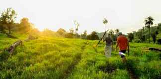 El Dorado News Times: El Dorado Arkansas El Dorado News Times: El Dorado Arkansas