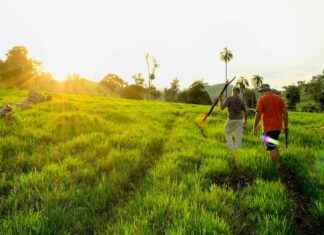 El Dorado News Times: El Dorado Arkansas El Dorado News Times: El Dorado Arkansas