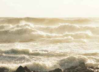 FC Porto vs Al-Nassr Lineups – International Friendly XI Predictions FC Porto vs Al-Nassr Lineups – International Friendly XI Predictions