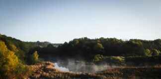 Nottingham Forest vs West Ham Lineups – Confirmed Premier League Starters Nottingham Forest vs West Ham Lineups – Confirmed Premier League Starters