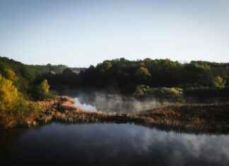 Nottingham Forest vs West Ham Lineups – Confirmed Premier League Starters Nottingham Forest vs West Ham Lineups – Confirmed Premier League Starters
