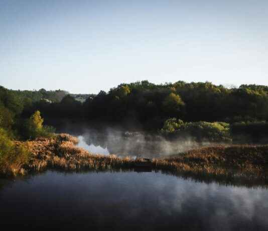 Nottingham Forest vs West Ham Lineups – Confirmed Premier League Starters Nottingham Forest vs West Ham Lineups – Confirmed Premier League Starters