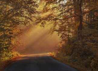 Rayo Vallecano vs Atlético Madrid Lineups – Madrid Derby Starters Rayo Vallecano vs Atlético Madrid Lineups – Madrid Derby Starters