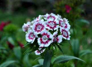 William And Kate Latest News Daily Mail William And Kate Latest News Daily Mail