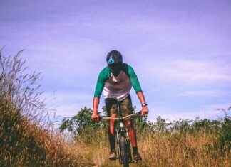 Willie Nelson’s Fourth Of July Picnic News Willie Nelson's Fourth Of July Picnic News