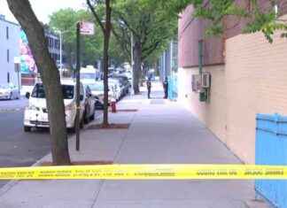 14-Year-Old Sought in Killing of 16-Year-Old NYC Girl 14-year-old-sought-in-killing-of-16-year-old-nyc-girl