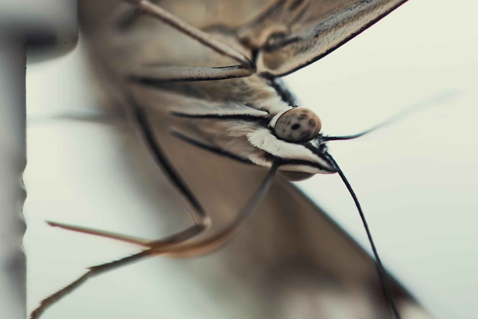 How to Find Hidden Pages