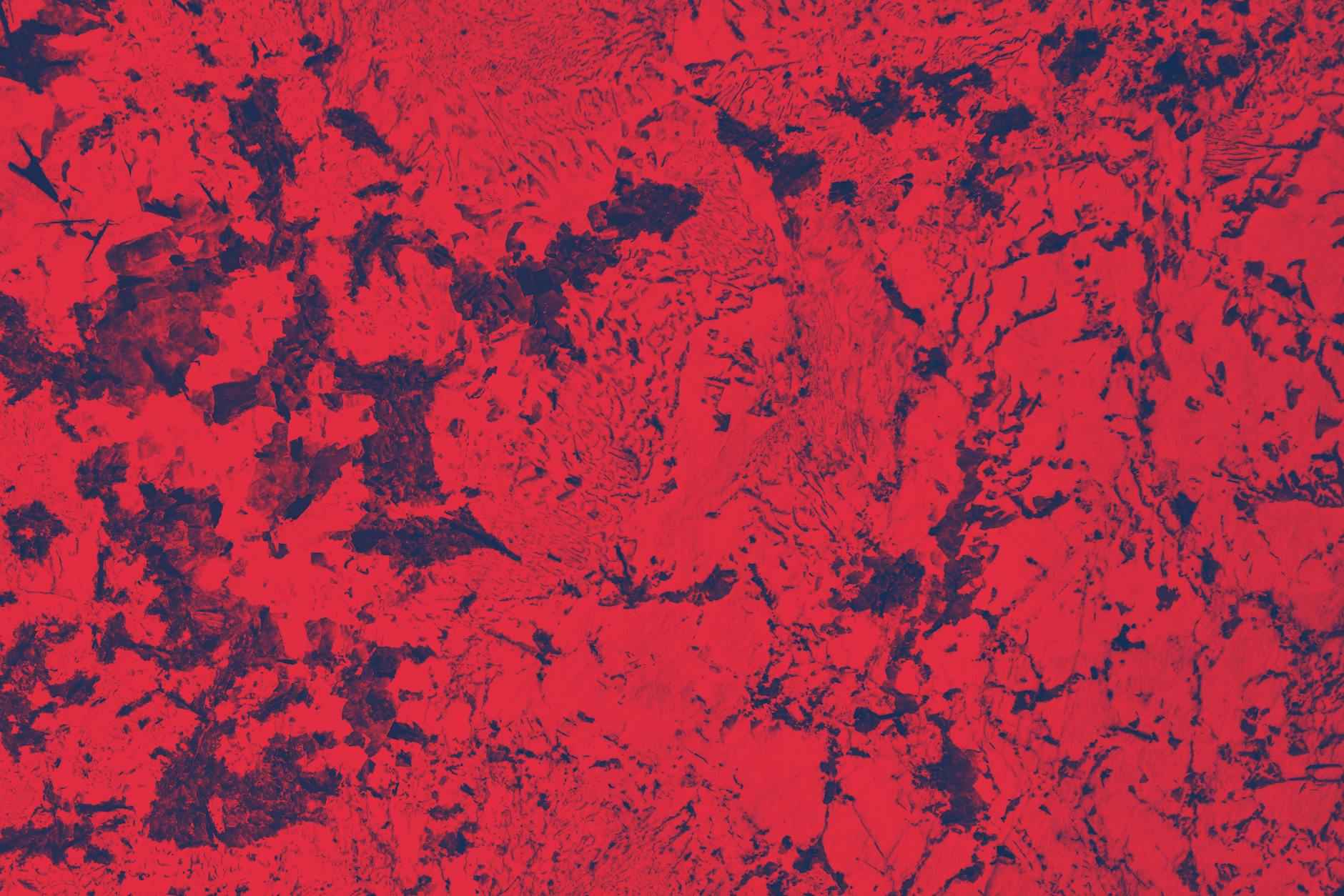 Understanding the Basics of Visual Design