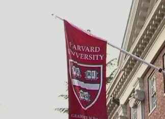 Court injunction stops Trump from banning Harvard international students court-injunction-stops-trump-from-banning-harvard-international-students