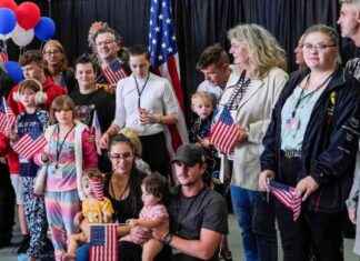 Debunking Claims of White Farmer Genocide in South Africa debunking-claims-of-white-farmer-genocide-in-south-africa