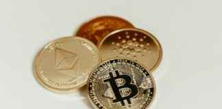 Lessinvest.Com Crypto Advice Investors Ignore Lessinvest.Com Crypto Advice Investors Ignore