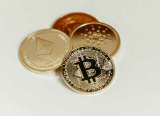 Lessinvest.Com Crypto Advice Investors Ignore Lessinvest.Com Crypto Advice Investors Ignore