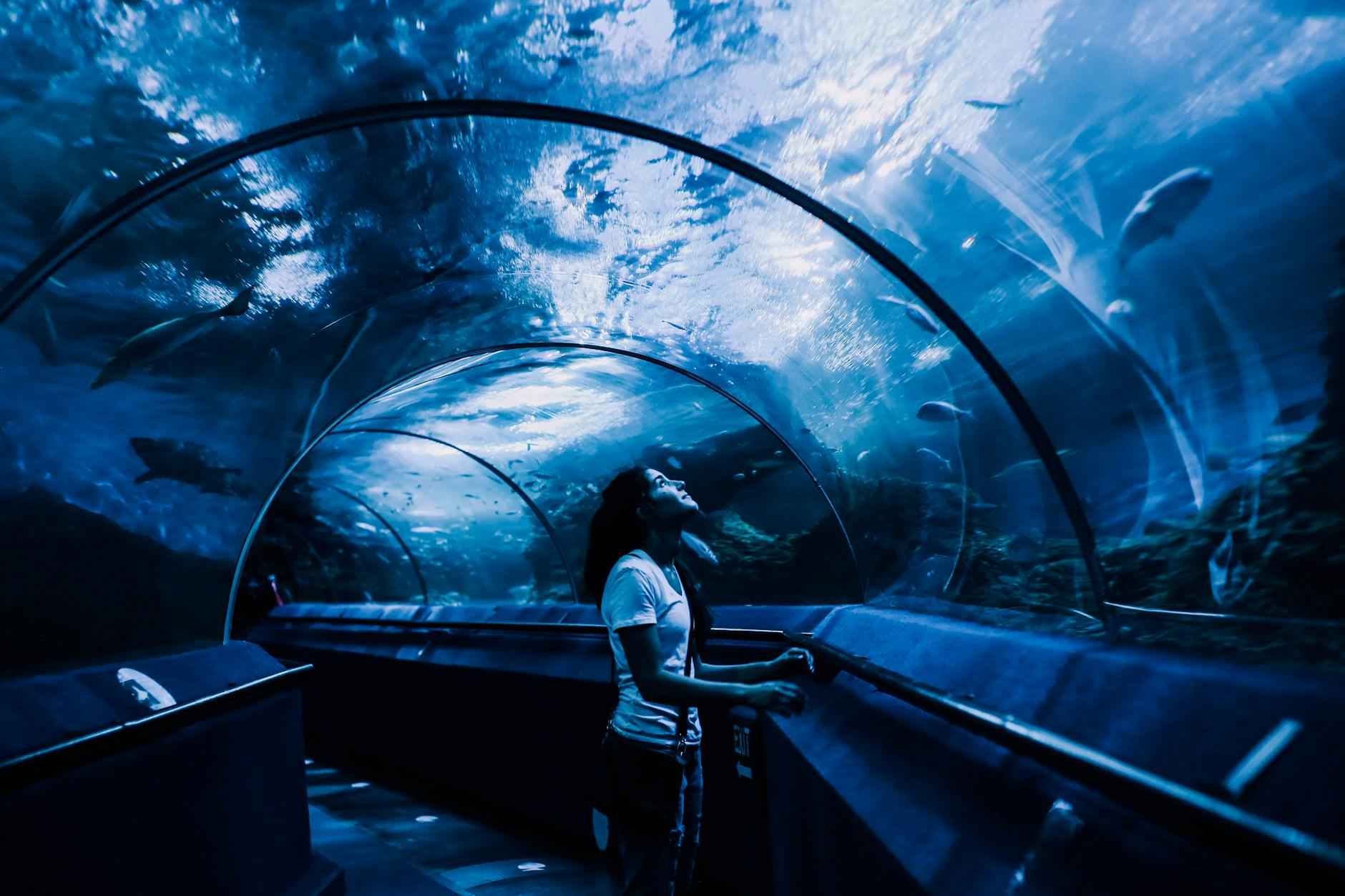 Challenges Facing Life2Vec