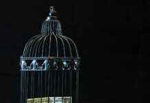 Money6x.Com Earning Tips For Beginners Money6x.Com Earning Tips For Beginners