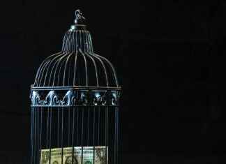 Money6x.Com Earning Tips For Beginners Money6x.Com Earning Tips For Beginners