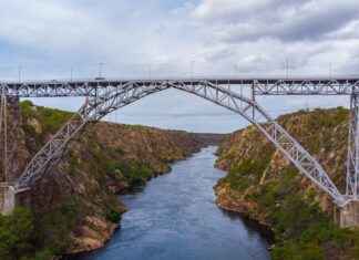 Pedro Vaz Paulo Biography You Should Read Pedro Vaz Paulo Biography You Should Read