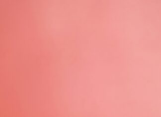 Sandra Orlow Secrets: How She Transformed Her Life Remarkably