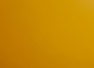 Life2Vec Coin: Discover The Future Of Crypto Innovation Today