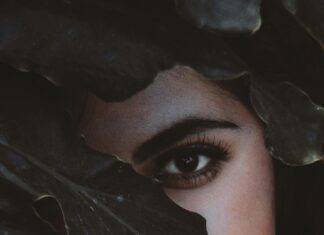 WhatUtalkingBout Willis .Com: Uncover The Secrets Behind The Buzz