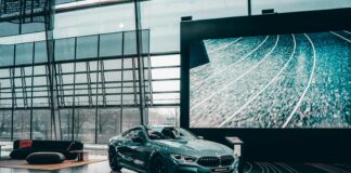 EvolvedGross.com Secrets Revealed: How To Transform Your Business Fast