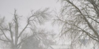 Ford Recalls Ranger Pickups Over Window Pinching Issue: What You Need to Know