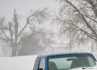 Ford Recalls Ranger Pickups Over Window Pinching Issue: What You Need to Know