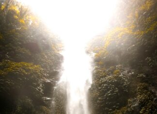 Eric Hartter: Discover Powerful Insights That Will Transform You