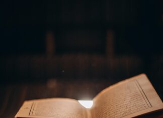 Kristen Archive Secrets Revealed: Why Readers Can’t Get Enough