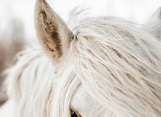 Ceylan Eye Cream Reviews: Discover The Secret To Radiant Eyes