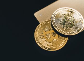 Life2Vec Crypto Secrets: Unlock Powerful Insights for Success