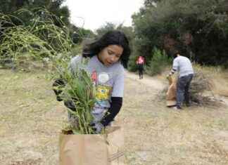 Saving the L.A. River: Weekend Warriors Remove Invasive Plants saving-the-la-river-weekend-warriors-remove-nvasive-plants