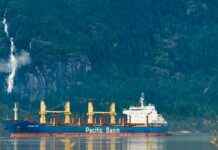 Shannon Reardon Swanick Biography And Career Shannon Reardon Swanick Biography And Career