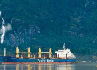 Shannon Reardon Swanick Biography And Career Shannon Reardon Swanick Biography And Career