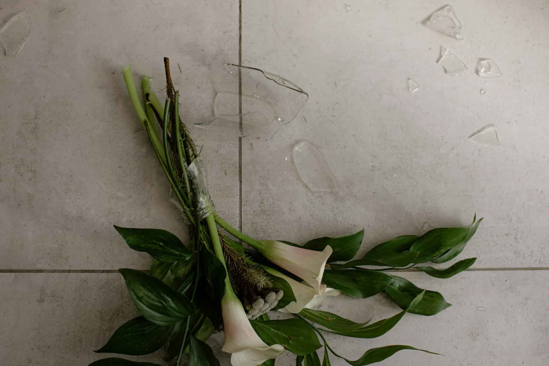 Simpcitt Scandal That’s Making Headlines 5 Future of Simpcitt