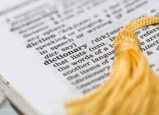 Techdae.Frl Innovation That’s Disrupting Tech Techdae.Frl Innovation That’s Disrupting Tech