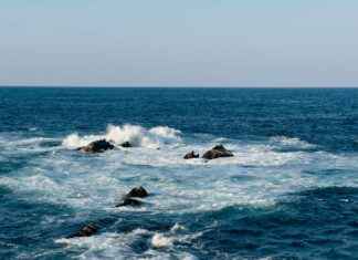 Traceloans.Com Reviews That Will Shock You Traceloans.Com Reviews That Will Shock You