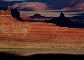 Understanding Trump’s Environmental Policy: A Deep Dive into Project 2025 understanding-trumps-environmental-policy-a-deep-dive-into-project-2025