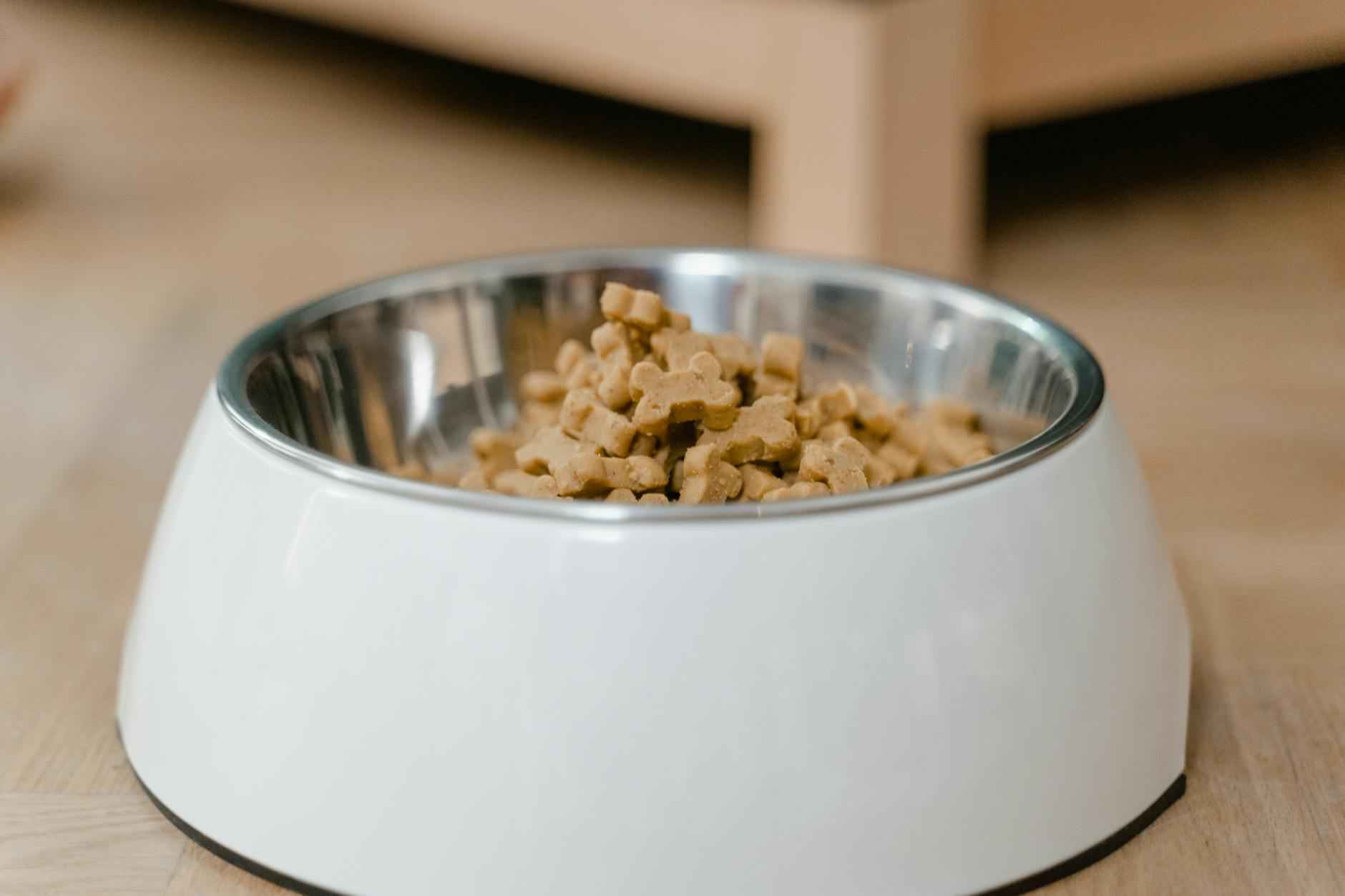 Pet Health Tracking